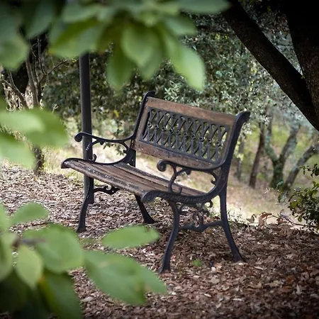 Romantic Cozy House 15 Min Arezzo Piscina&bosco *